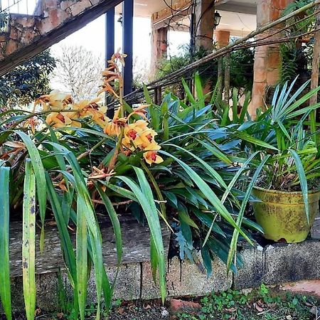 Pousada Canto Das Corujas Sao Roque  Ngoại thất bức ảnh