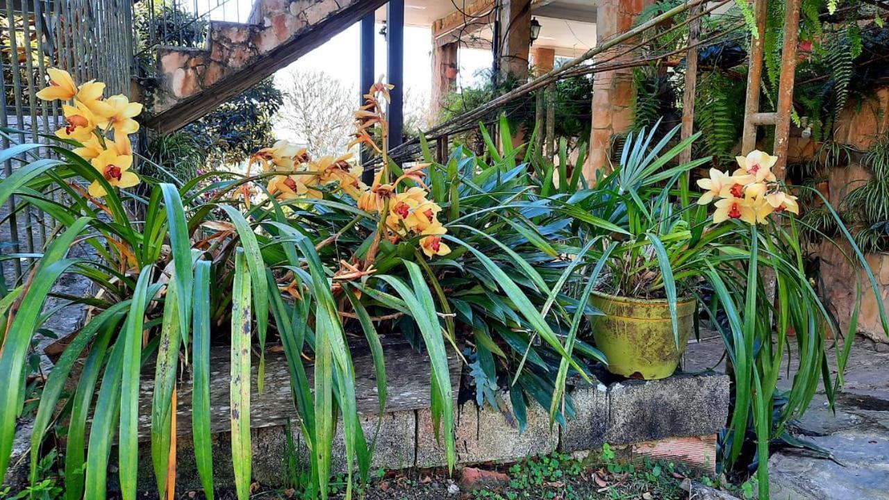 Pousada Canto Das Corujas Sao Roque  Ngoại thất bức ảnh